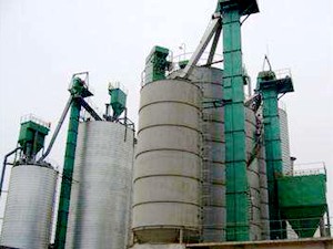 NE型板鏈式提升機